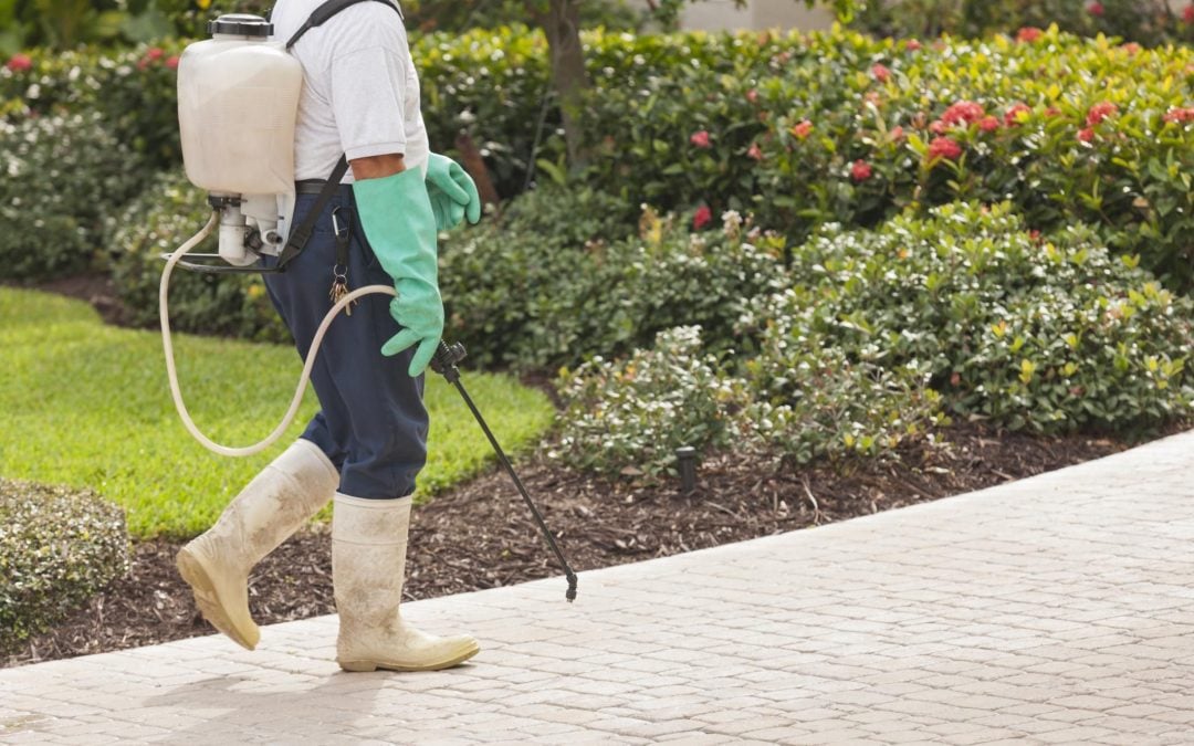 How To Become A Pest Control Technician