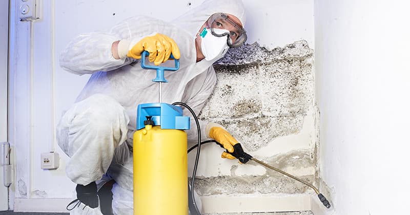 7 Tips For Running A Pest Control Business